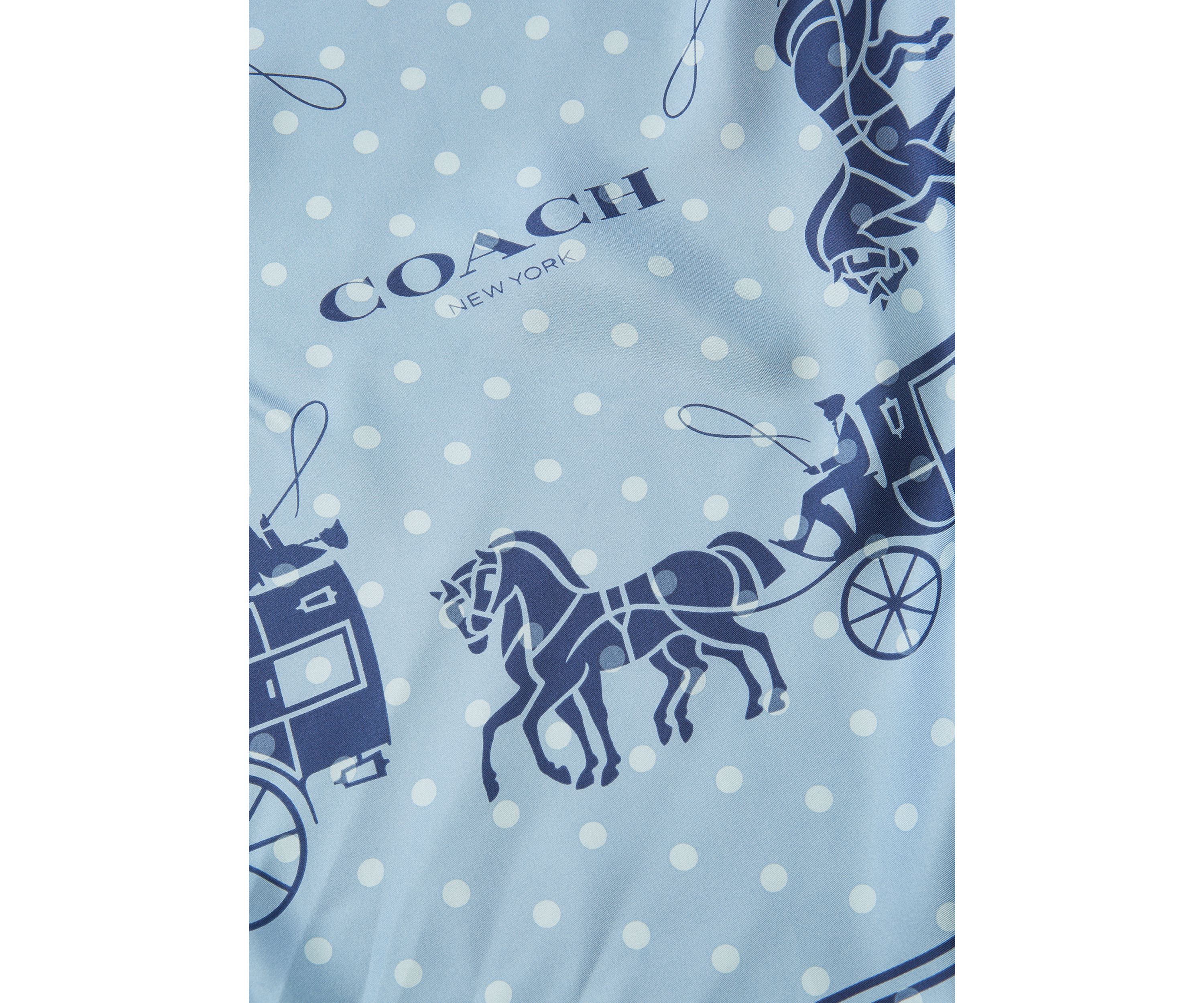 Horse and Carriage Dot Printed Bandana 