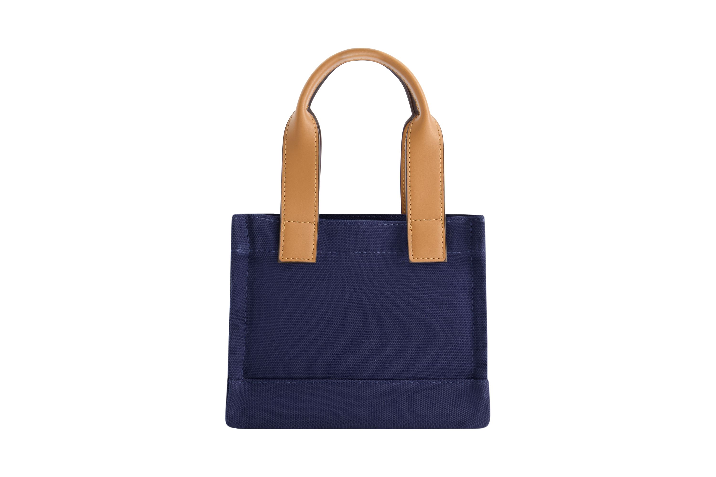 True Religion Mini Tote