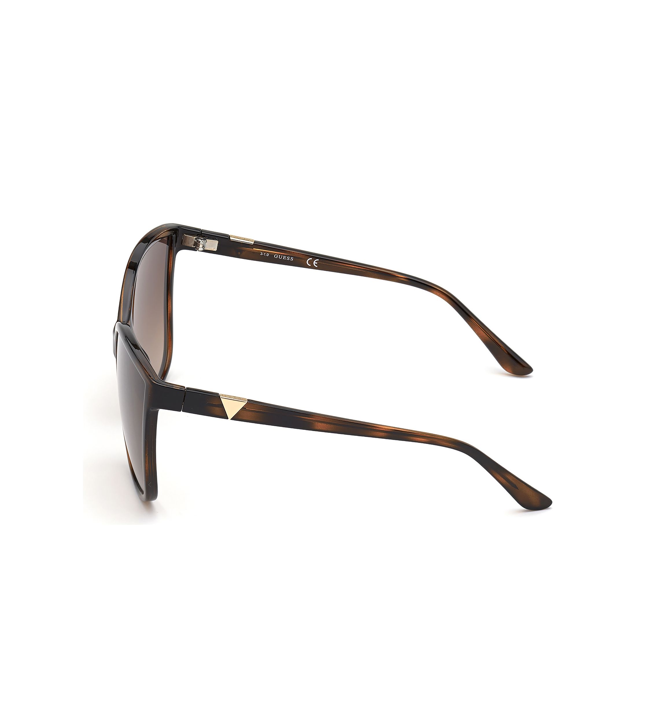 Cat Eye Plastic Sunglasses