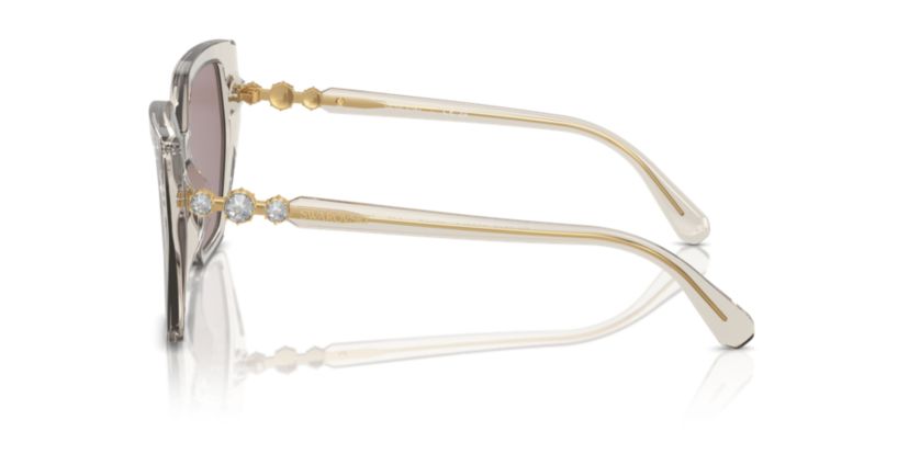 SK6016  Sunglasses