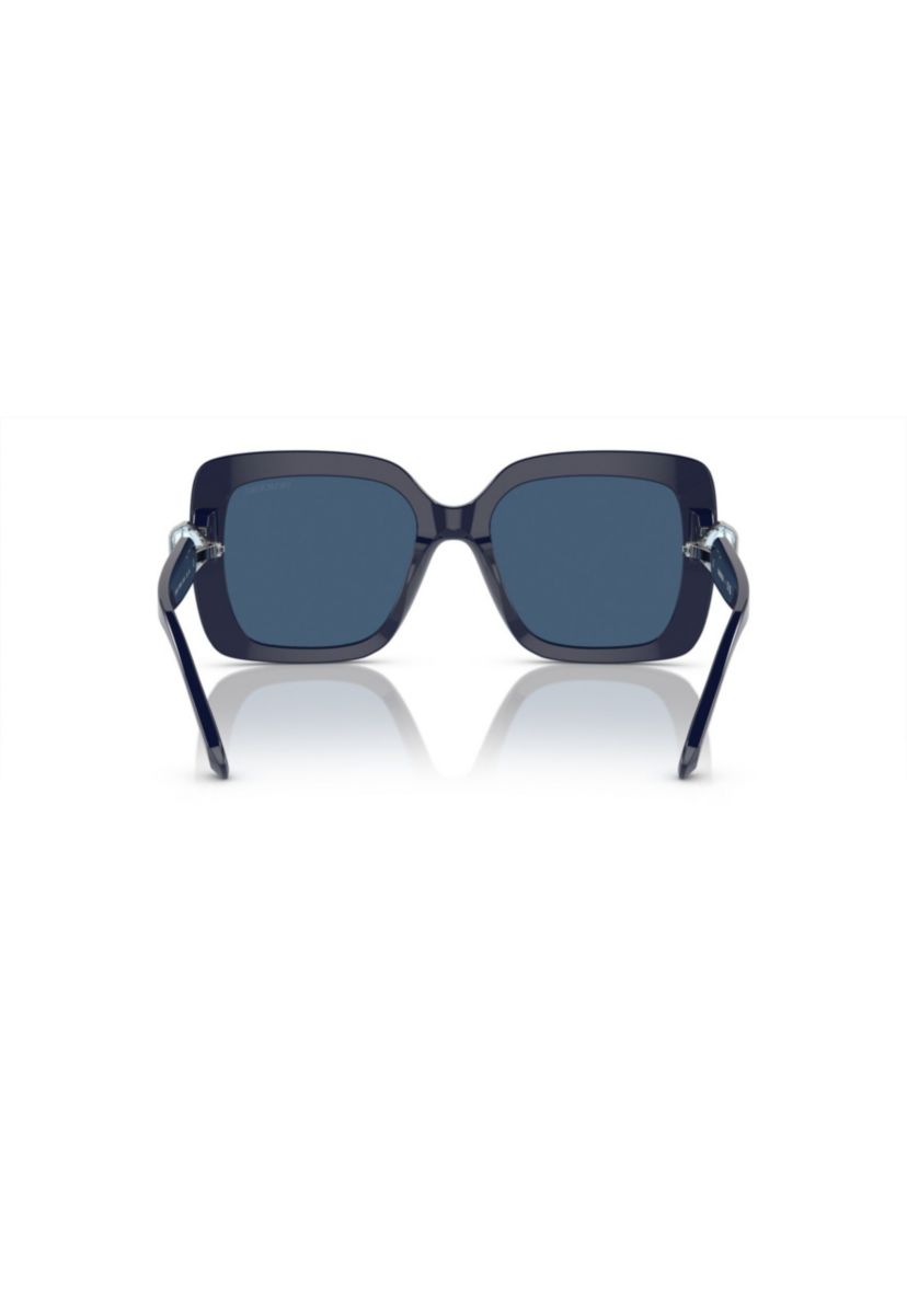 SK6001 Sunglasses