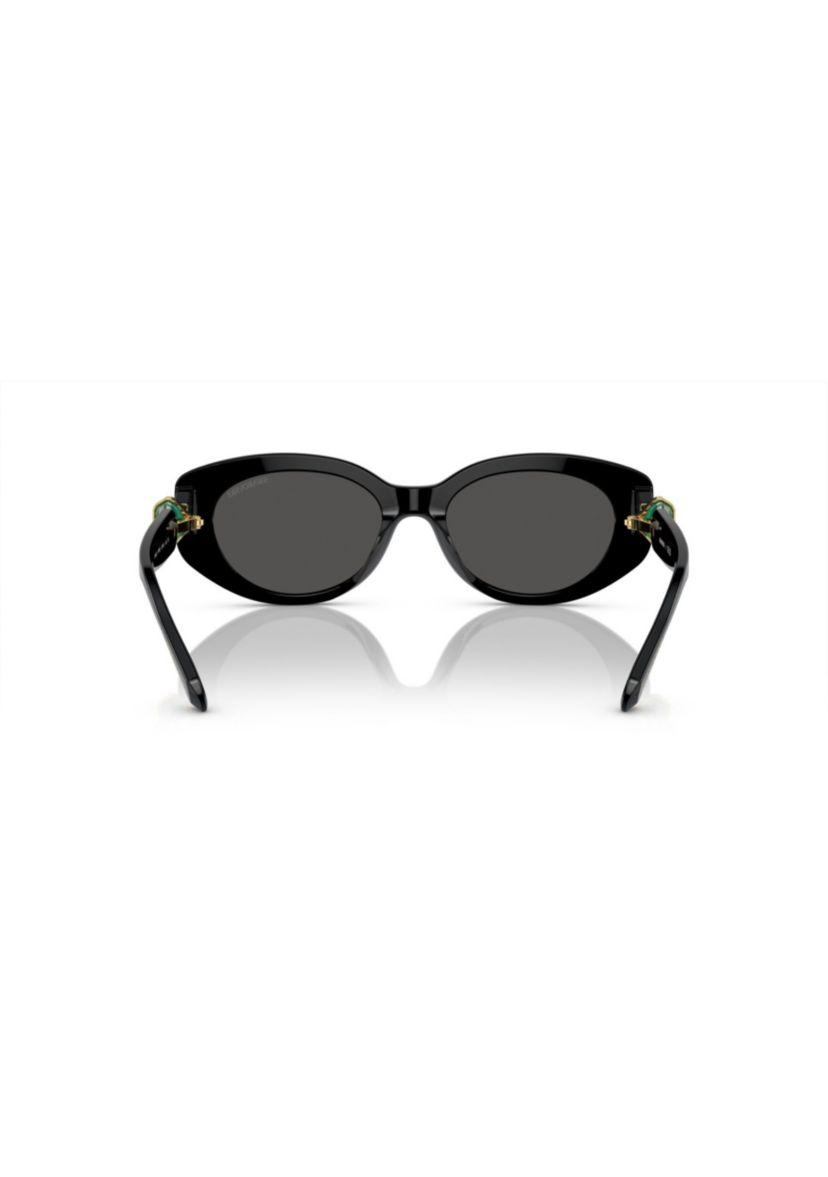 SK6002 Sunglasses