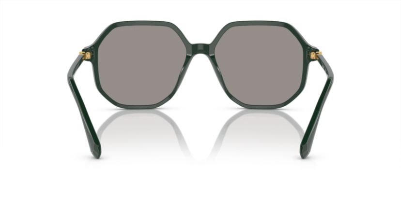 SK6003 Sunglasses