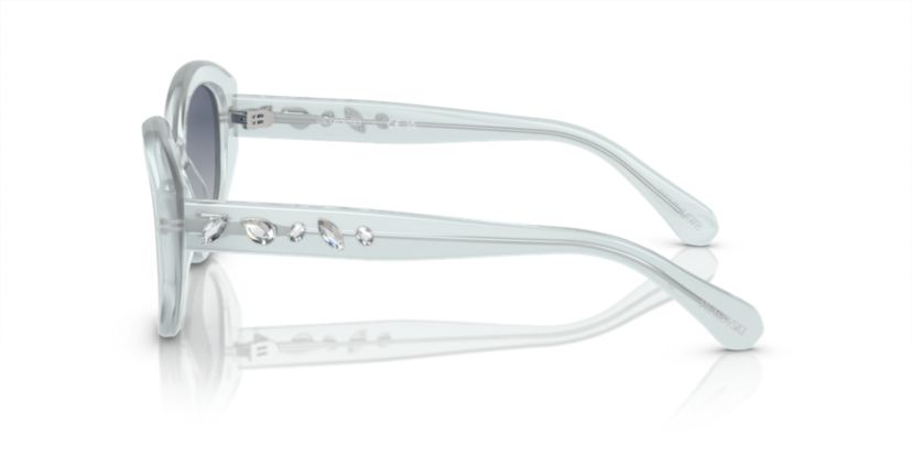 SK6005 Sunglasses