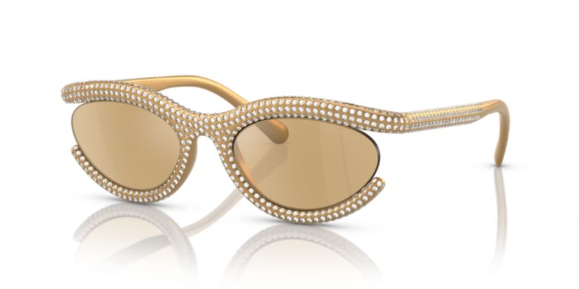 SK6006 Sunglasses