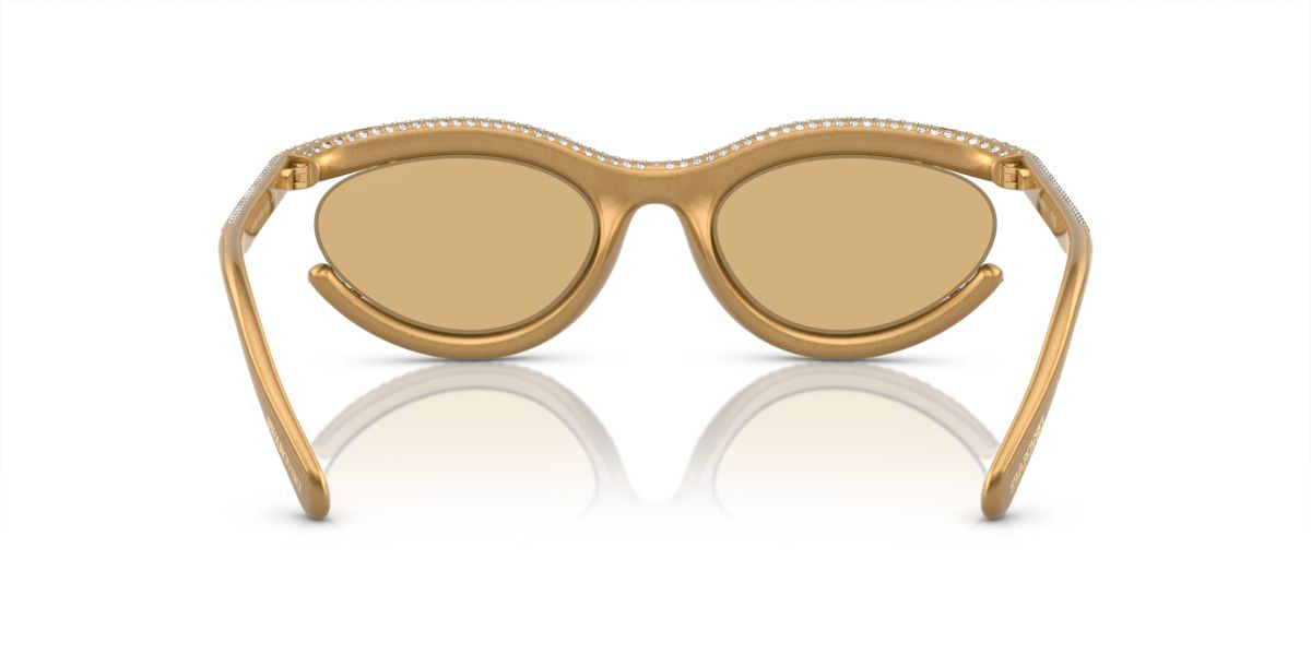 SK6006 Sunglasses