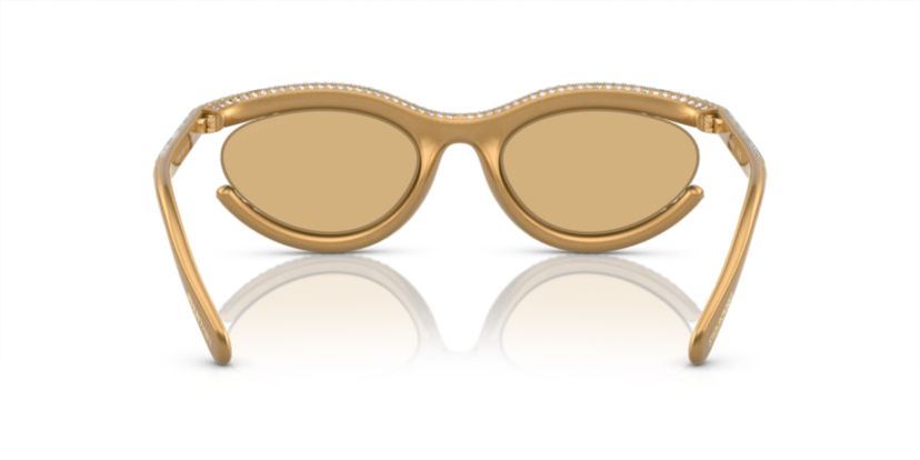 SK6006 Sunglasses