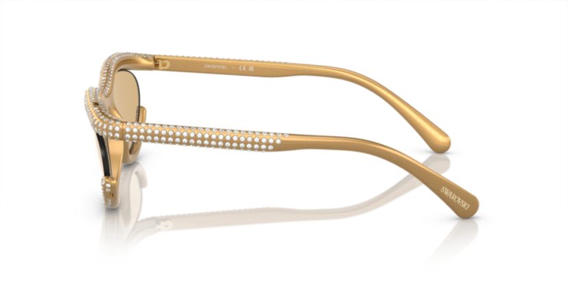 SK6006 Sunglasses