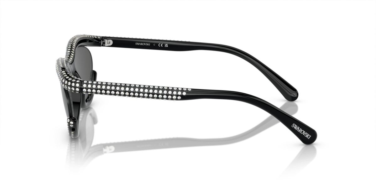 SK6006 Sunglasses