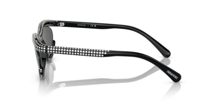 SK6006 Sunglasses