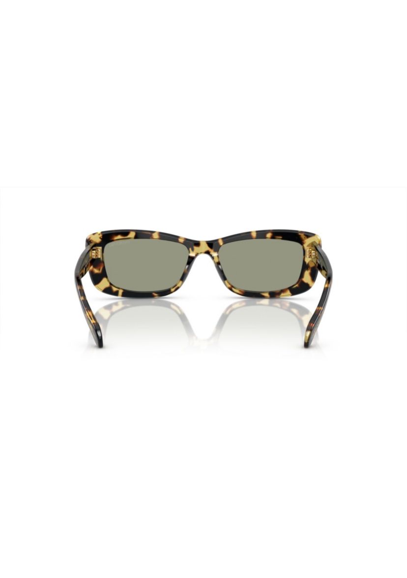 SK6008 Sunglasses