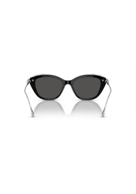 SK6010 Sunglasses