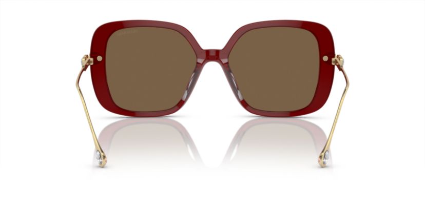 SK6011  Sunglasses