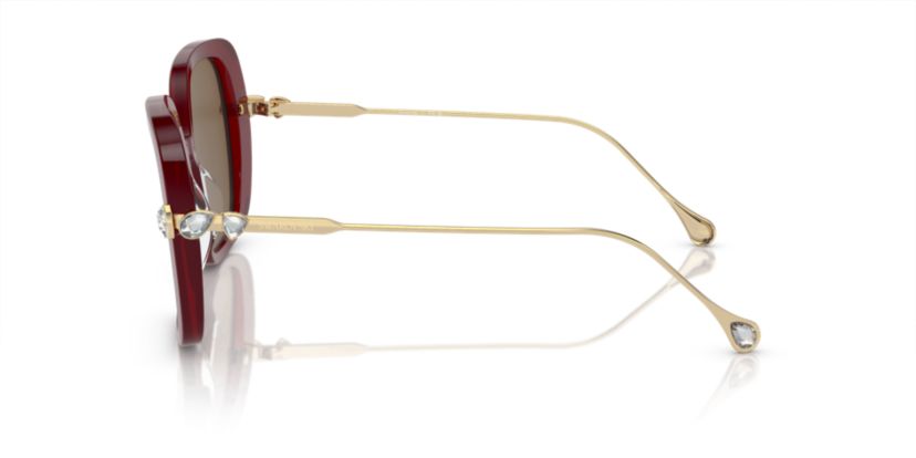 SK6011  Sunglasses