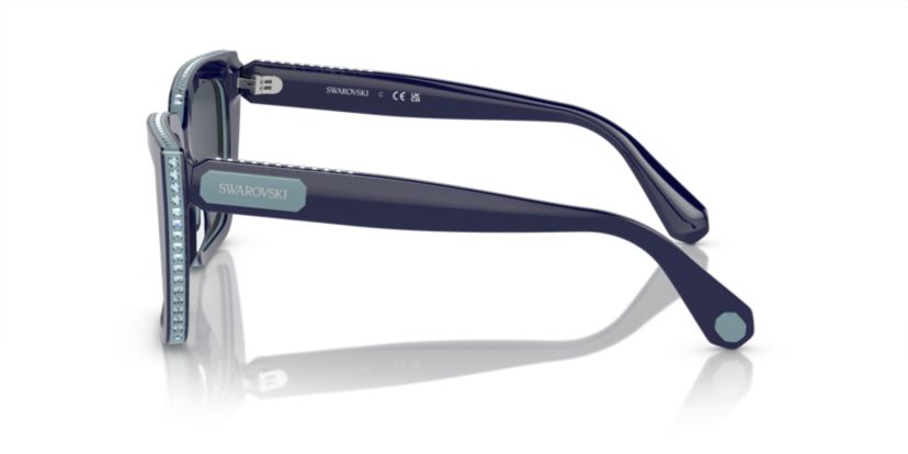 SK6013 Sunglasses