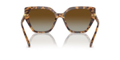SK6016  Polarized Sunglasses