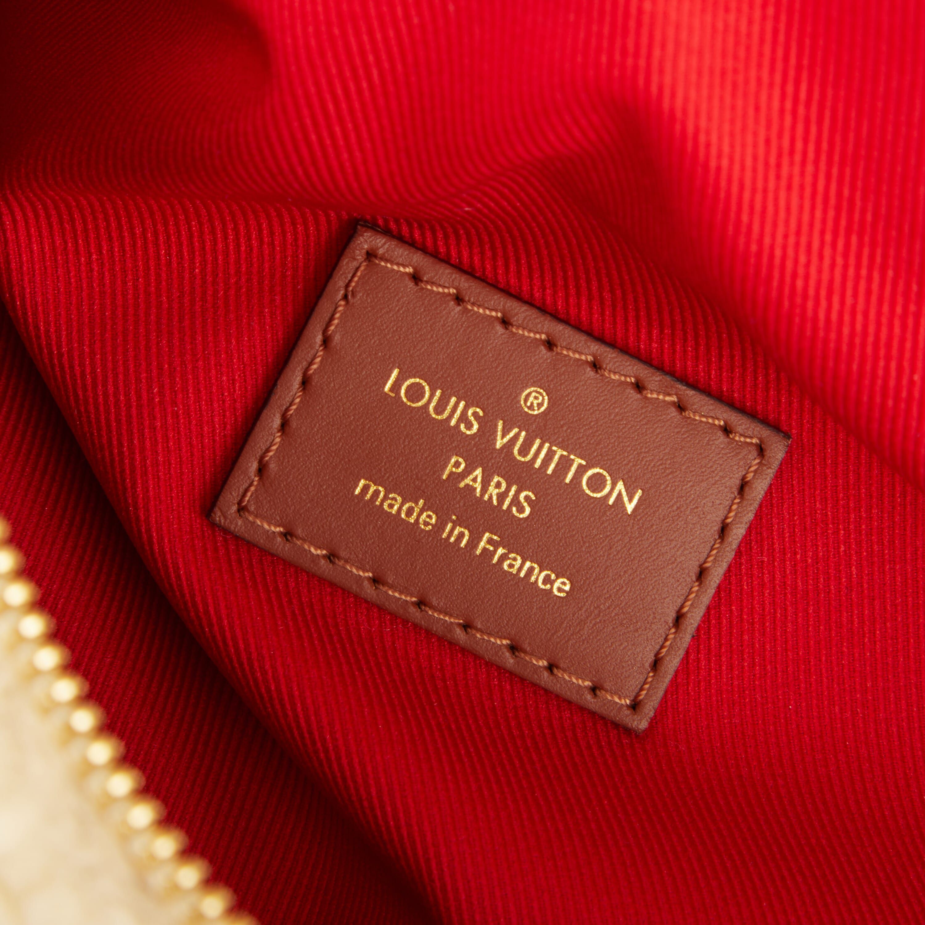 Louis Vuitton Teddy Bum Bag -FINAL SALE NO RETURNS