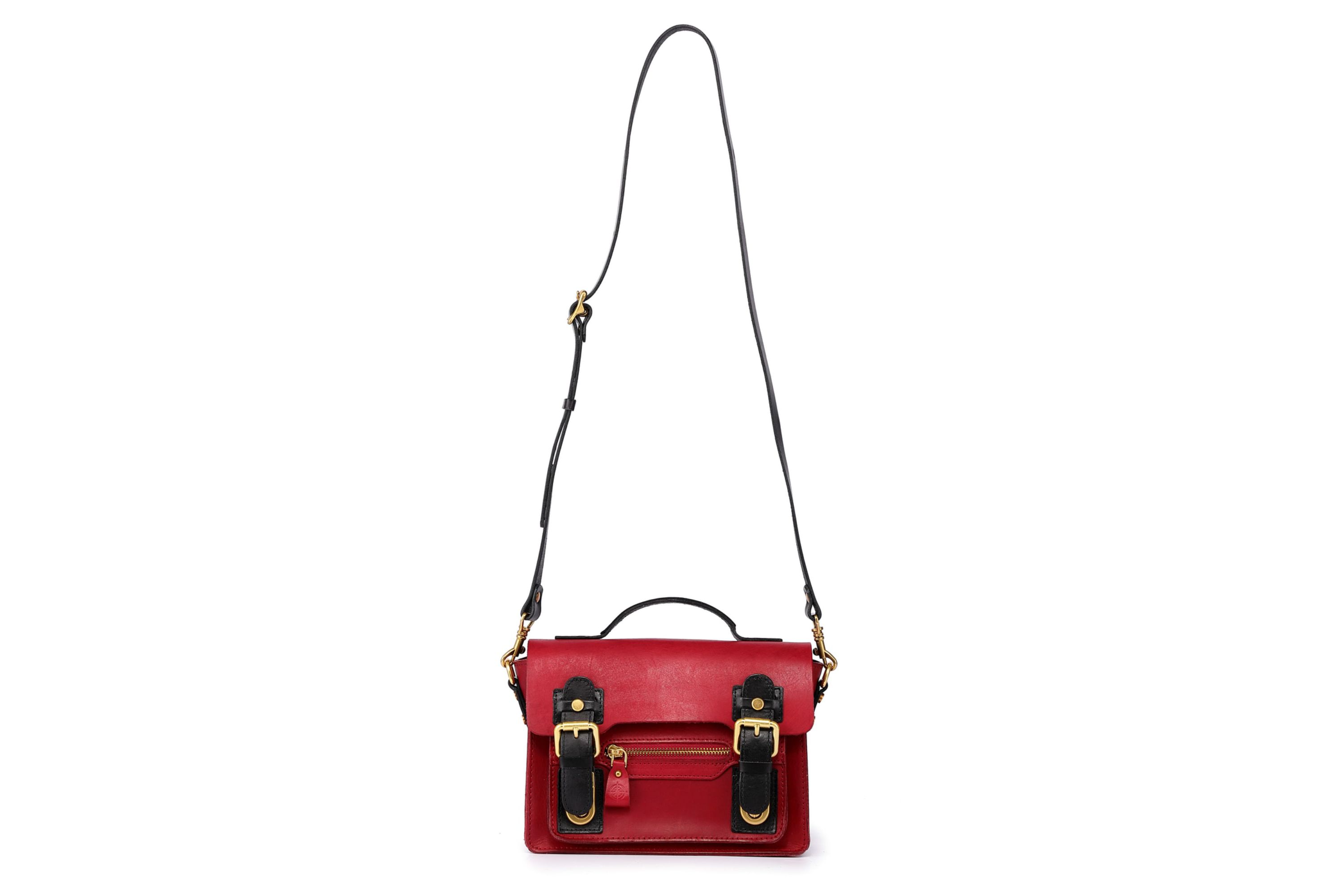 Aster Mini Leather Satchel