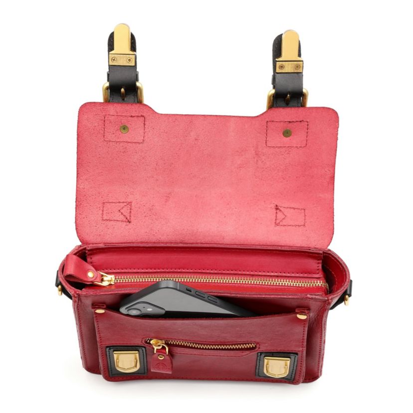 Aster Mini Leather Satchel