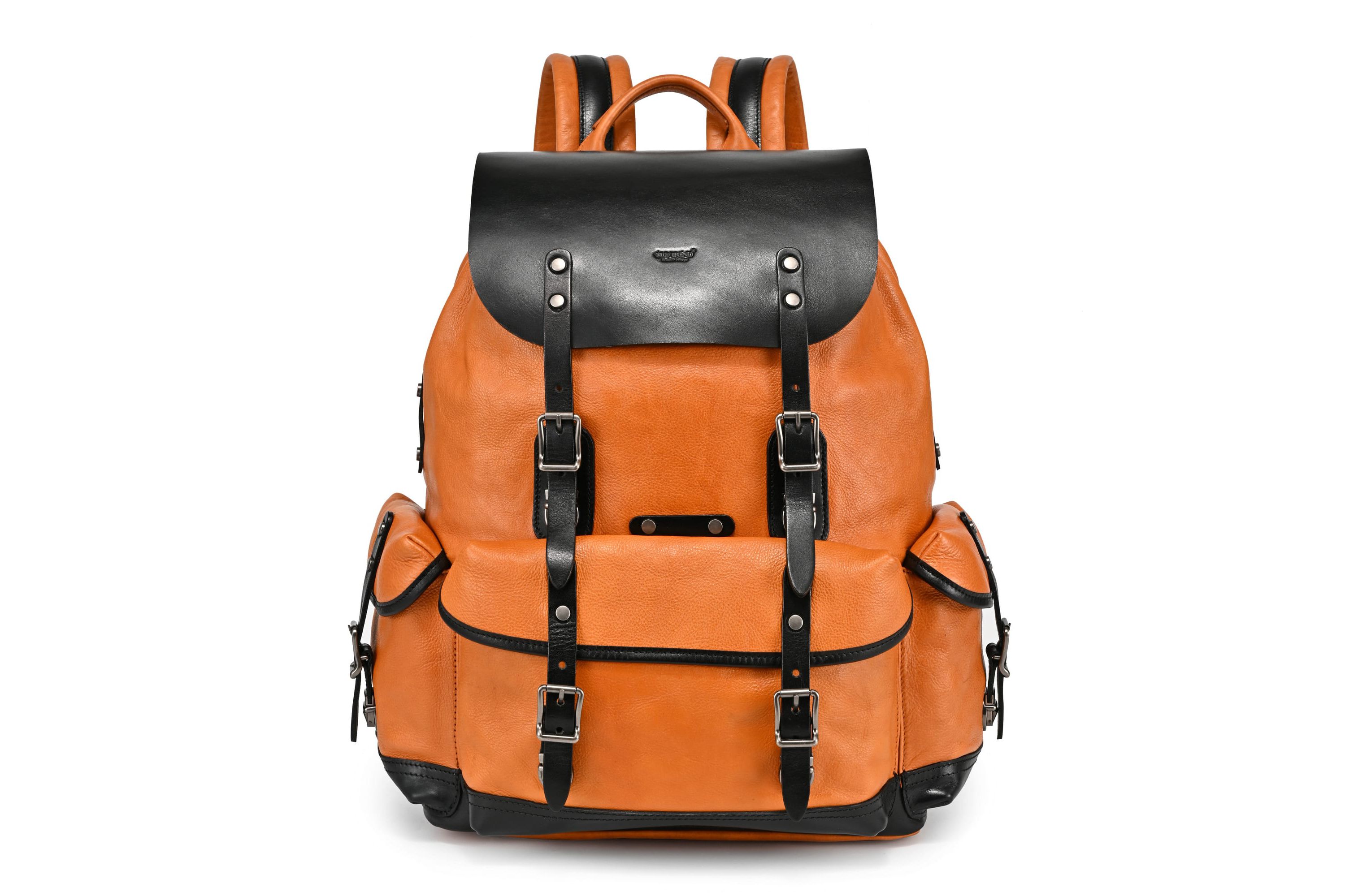 Westland Leather Backpack