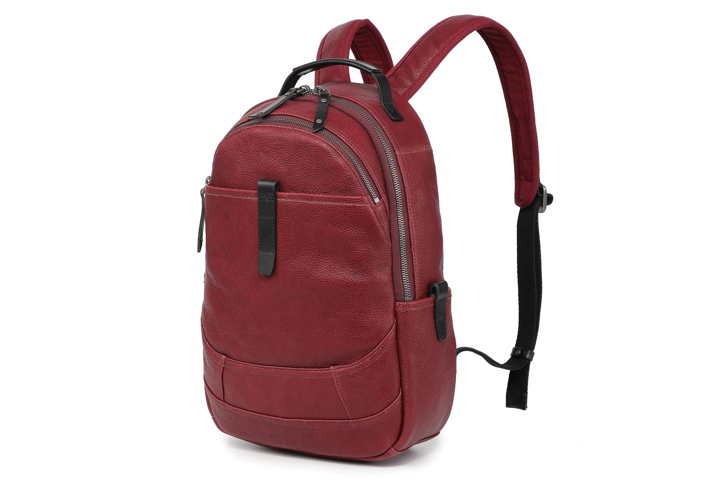 Sun Wing Leather Backpack