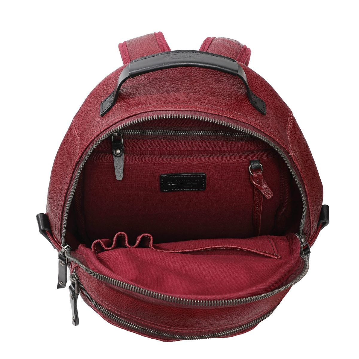 Sun Wing Leather Backpack