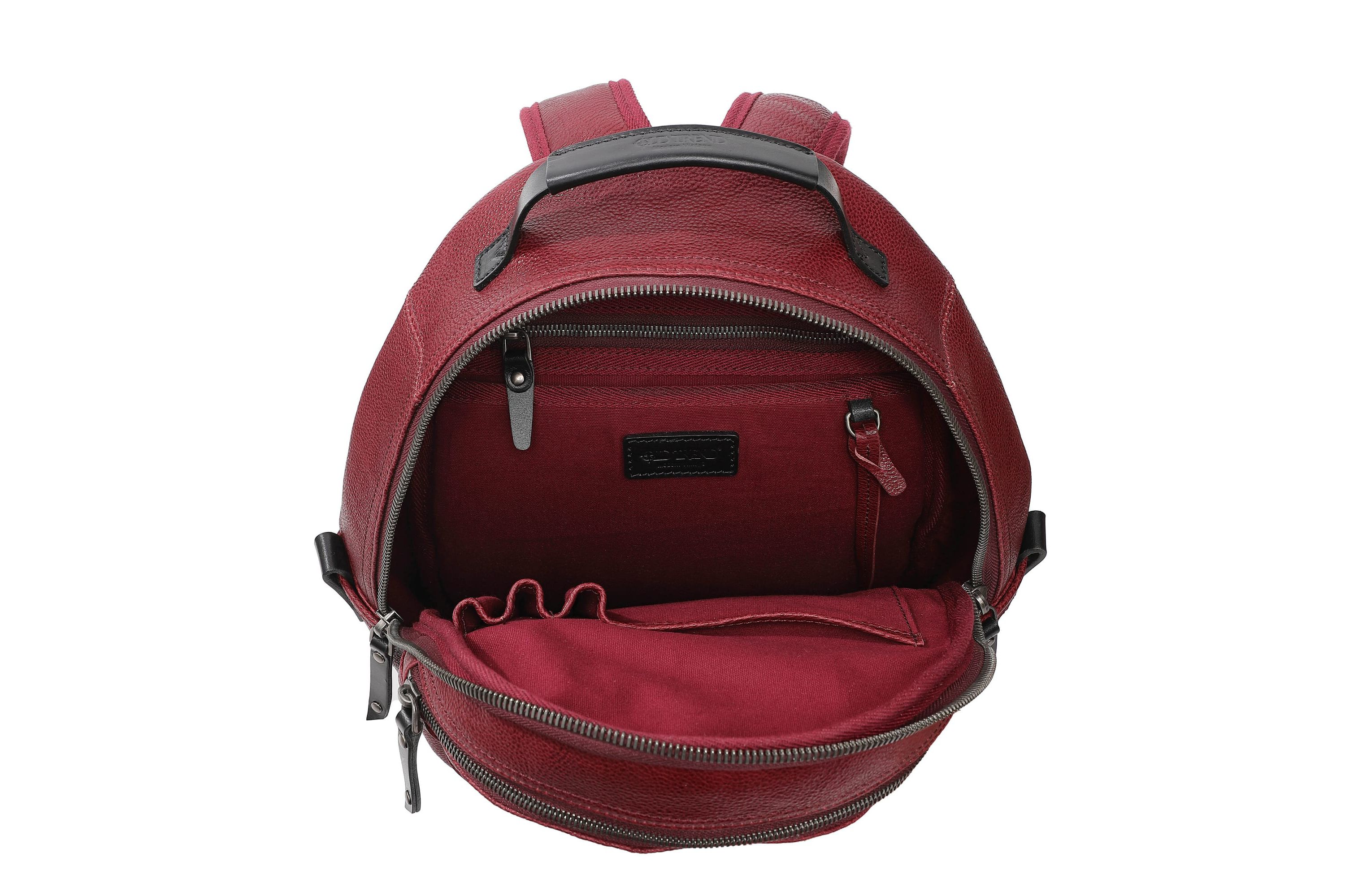 Sun Wing Leather Backpack