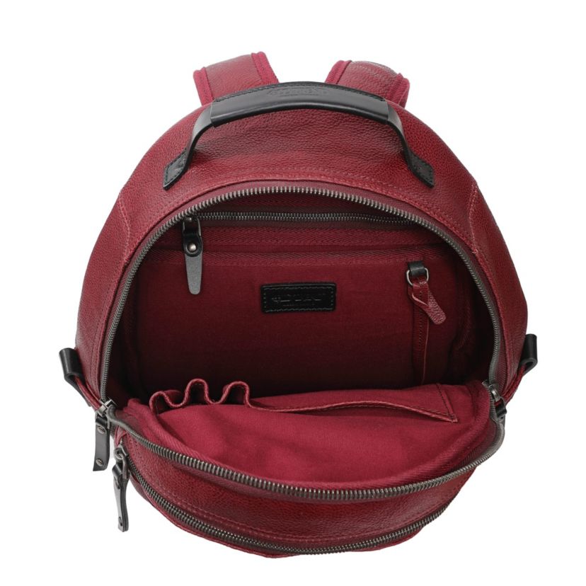 Sun Wing Leather Backpack
