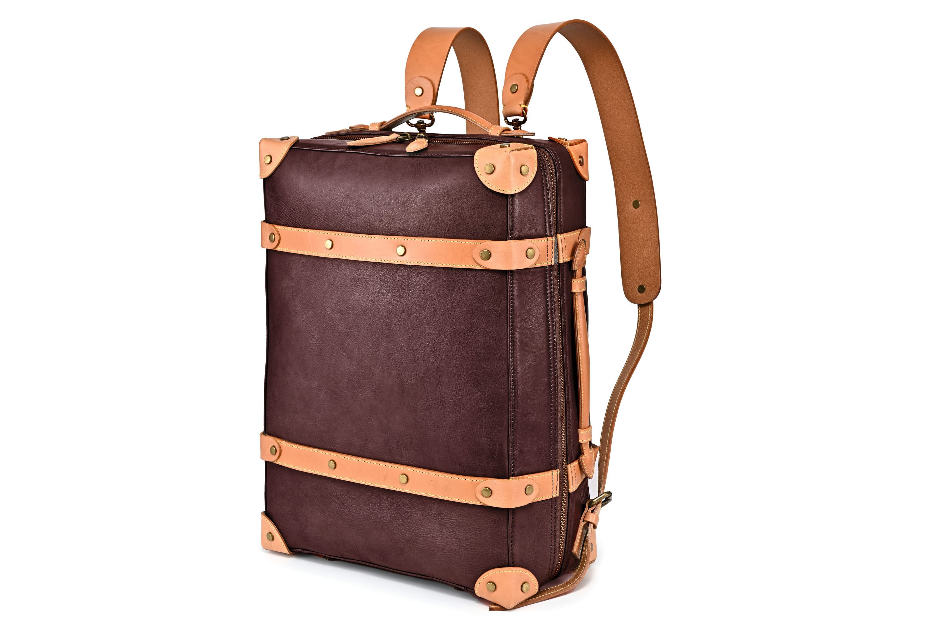 Speedwell Trunk Leather Backpack
