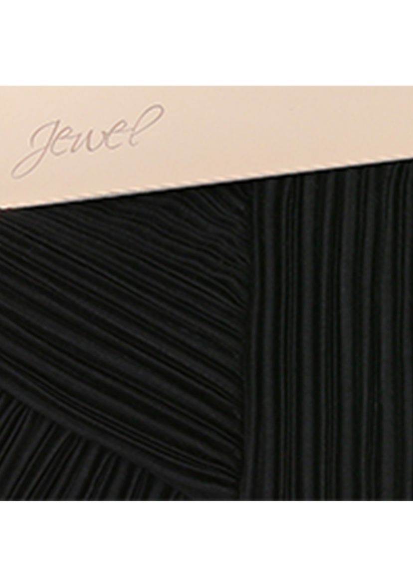 Pleated Clutch