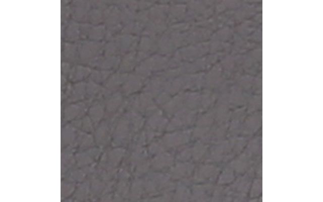 Stone Gray