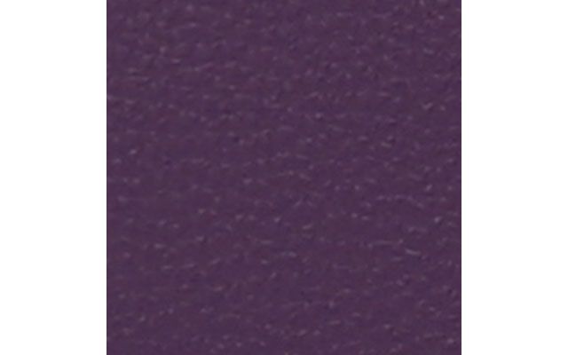 Purple Lavender