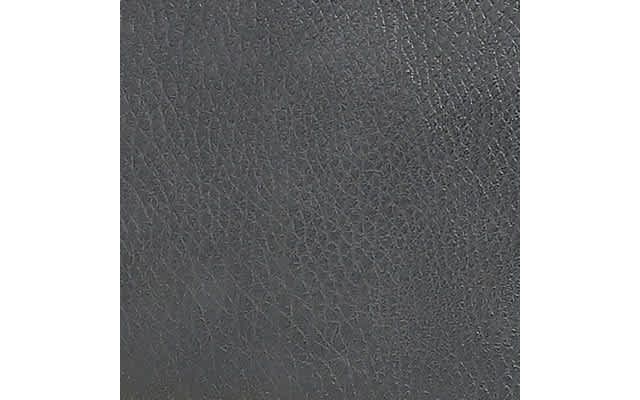 Stone Gray