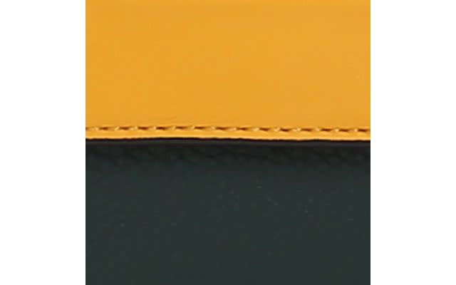 Olive Mustard