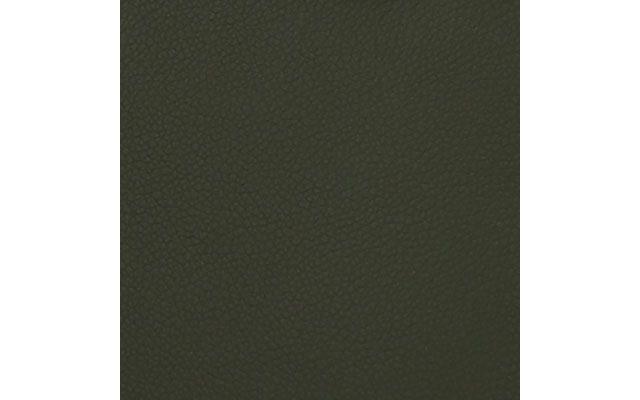 Olive Mustard