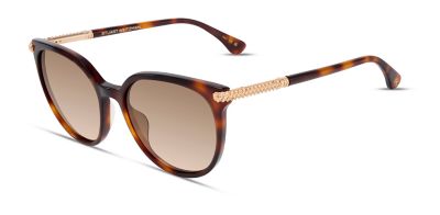 Stuart Weitzman Women's Havana Square frame Sunglasses