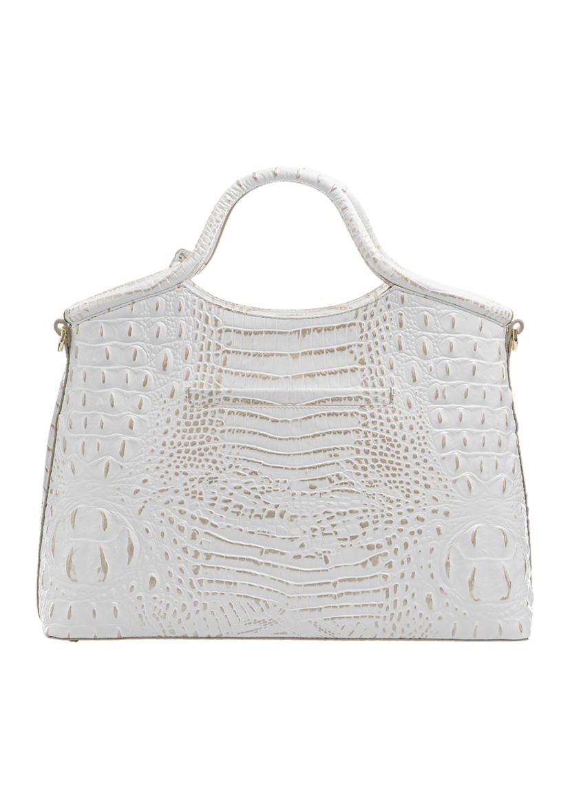 Elaine Satchel 