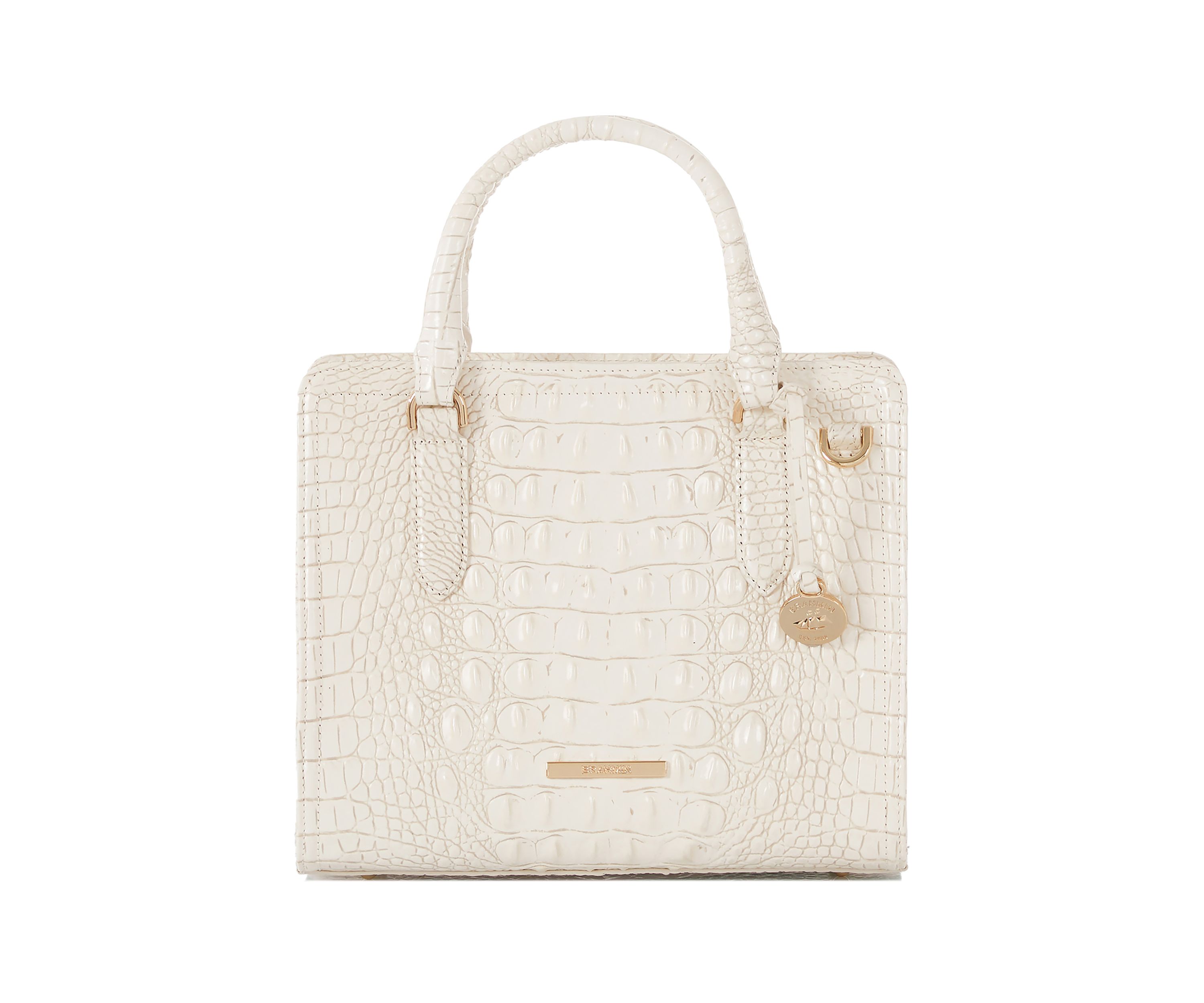 Cami Satchel
