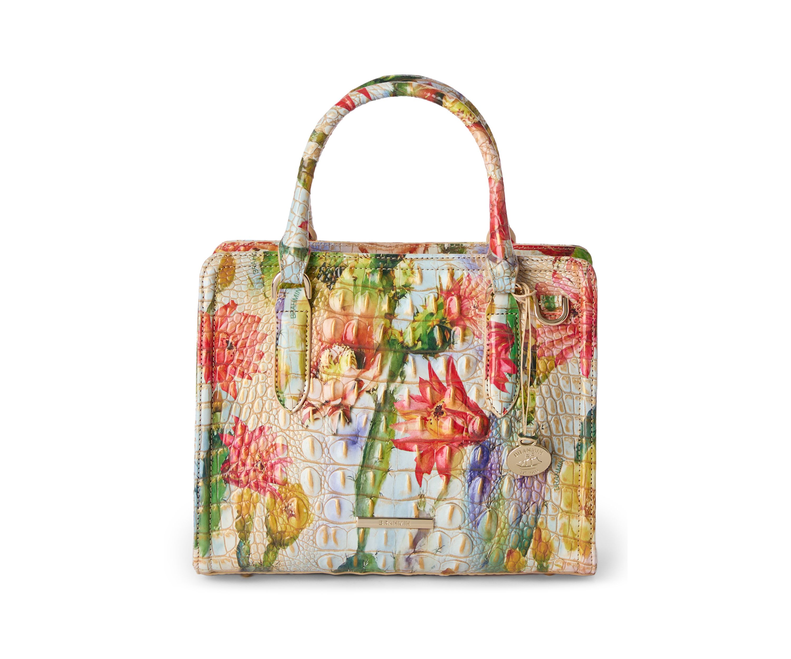 Cami Satchel 