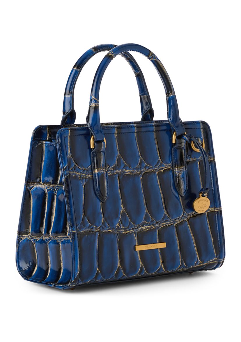Cami Satchel 
