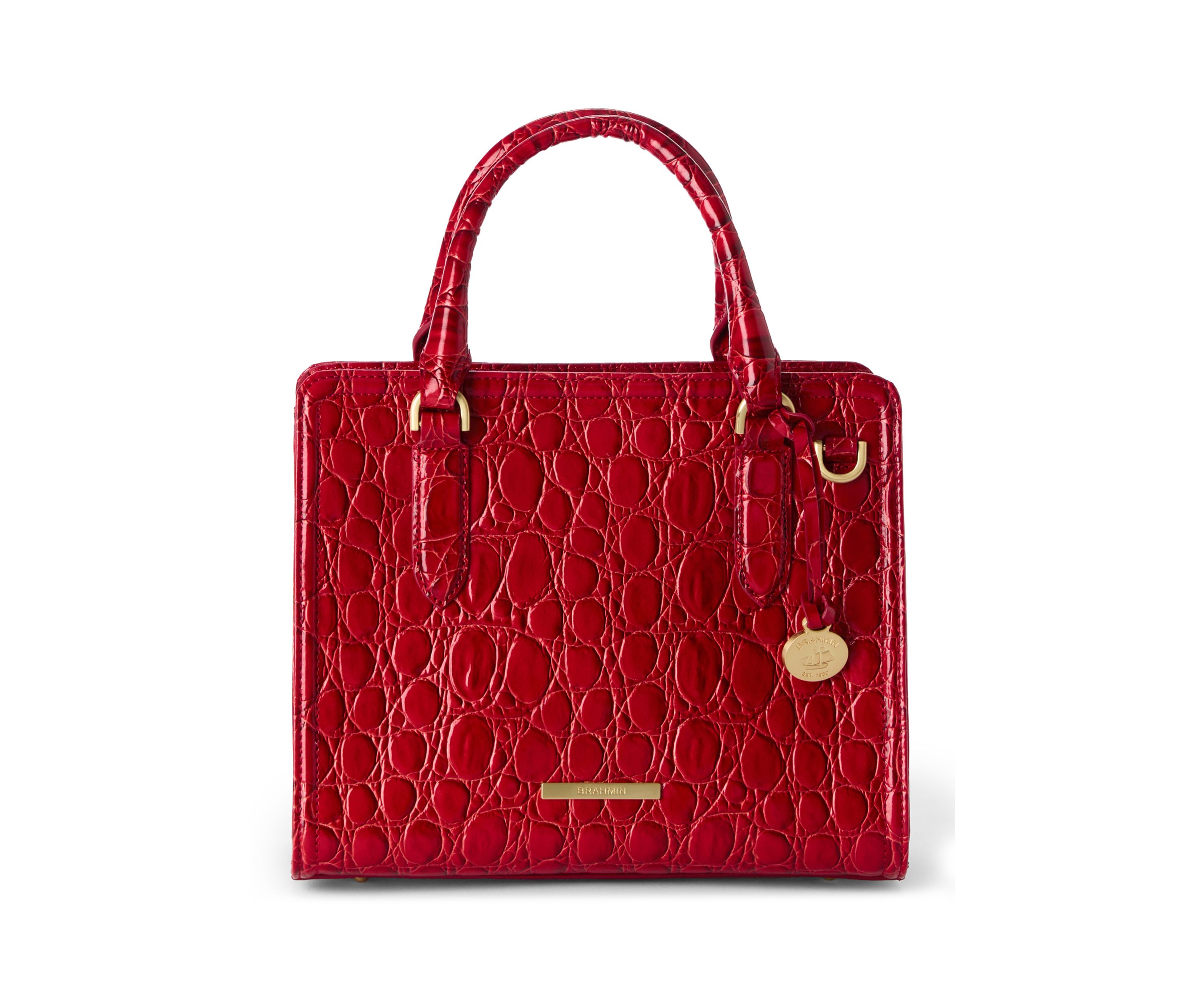 Cami Satchel