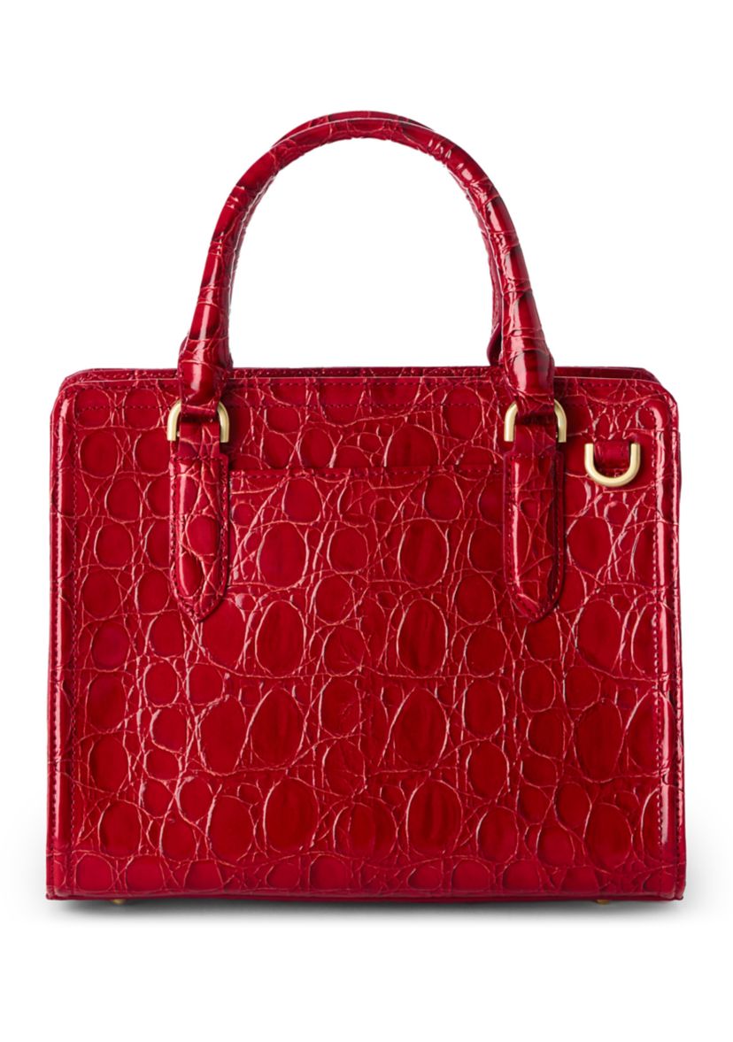 Cami Satchel