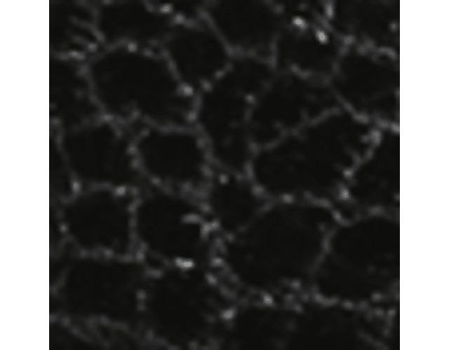 Black Croco Fabric