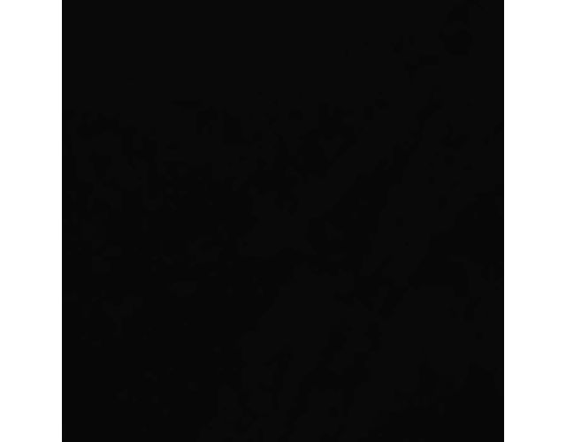 Black Croc Leather