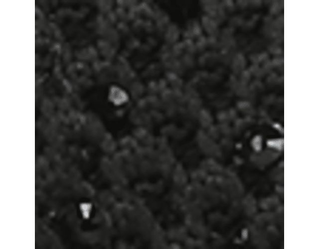 Black Knit Fabric