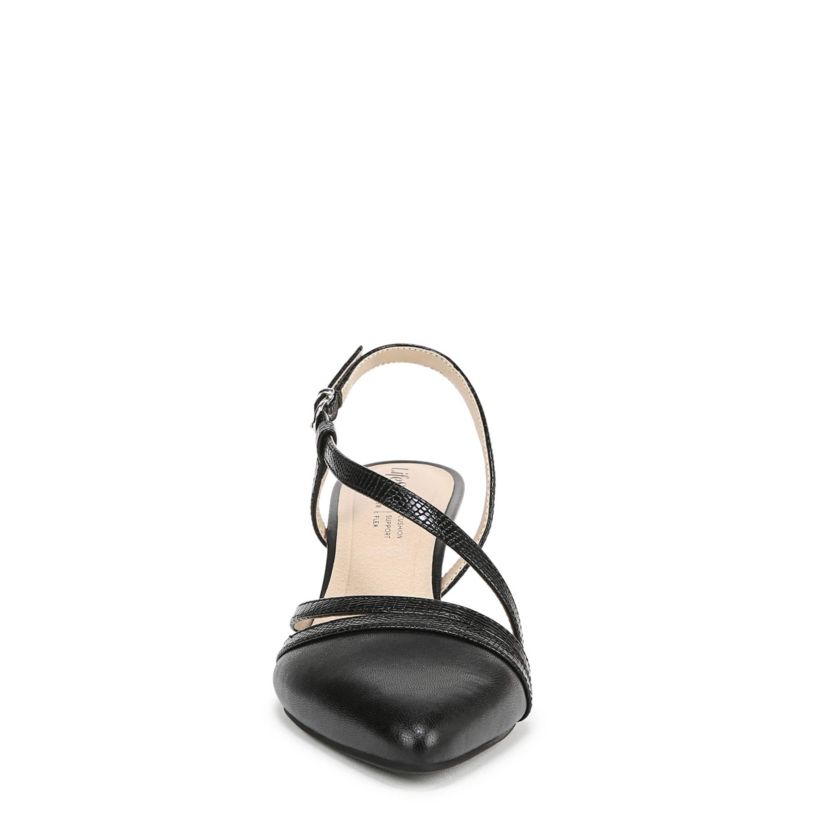 Arlo Pump