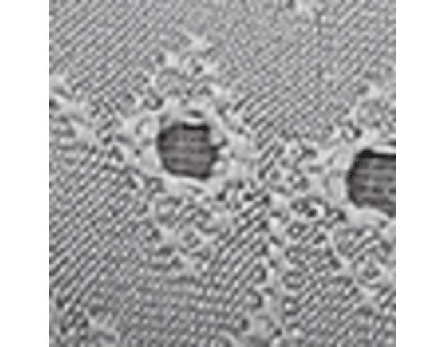 Grey Floral Dot Fabric