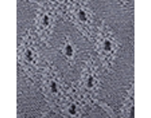 Blue Floral Dot Fabric