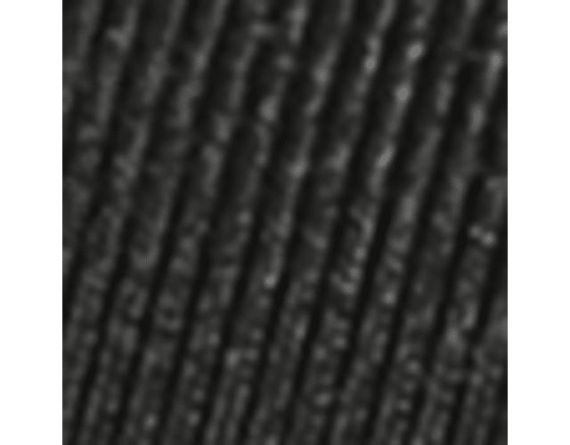 Black Shimmer Fabric
