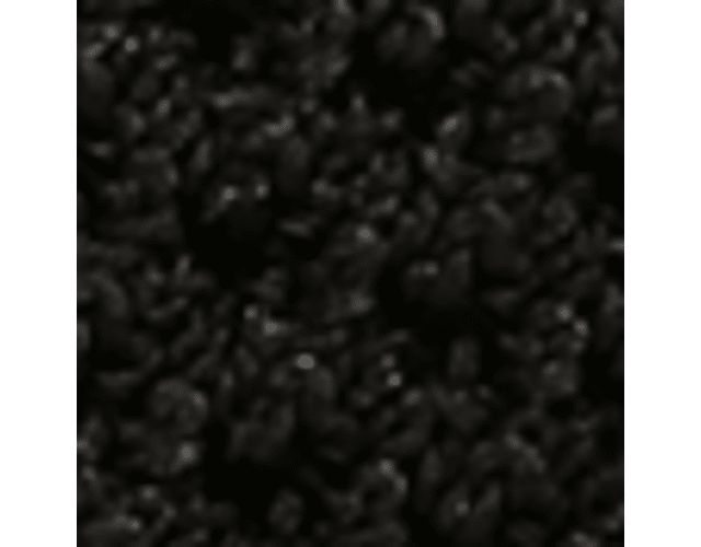 Black Fabric